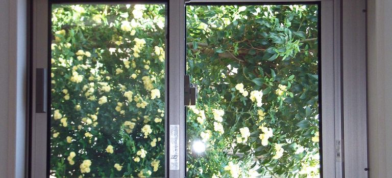 変化に対応する店舗設計と内装が生む体験価値と持続可能な商業空間の創出